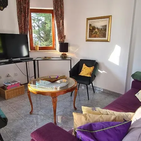Villa Mittler *